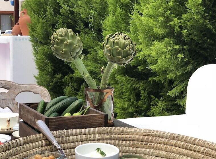 בית מלון כפרי Kiraz Cicegi Butik Akyaka