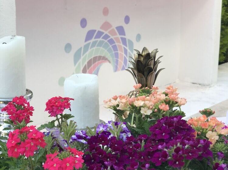 בית מלון כפרי Kiraz Cicegi Butik Akyaka