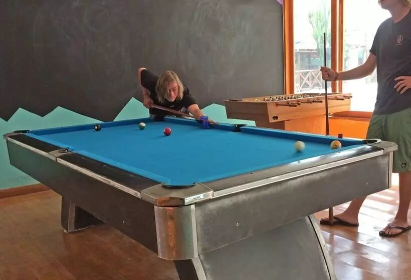 Madwoods Hostel