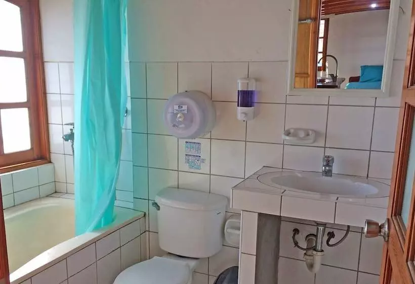 Madwoods Hostel