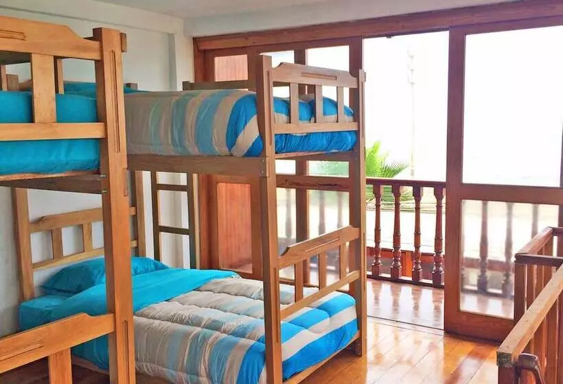 Madwoods Hostel