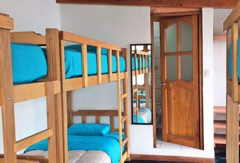 Madwoods Hostel