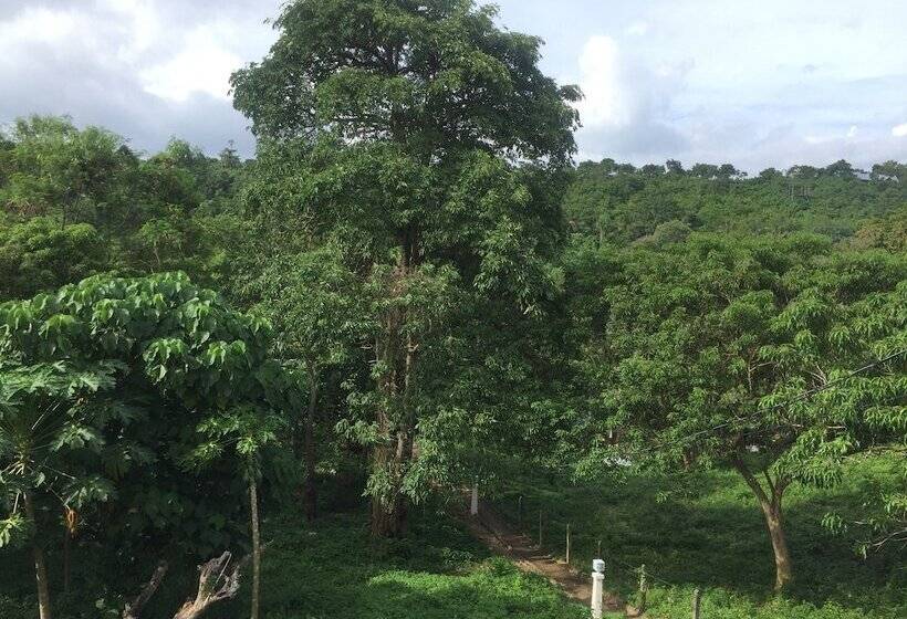 Pensionat Aloe De Diniwid