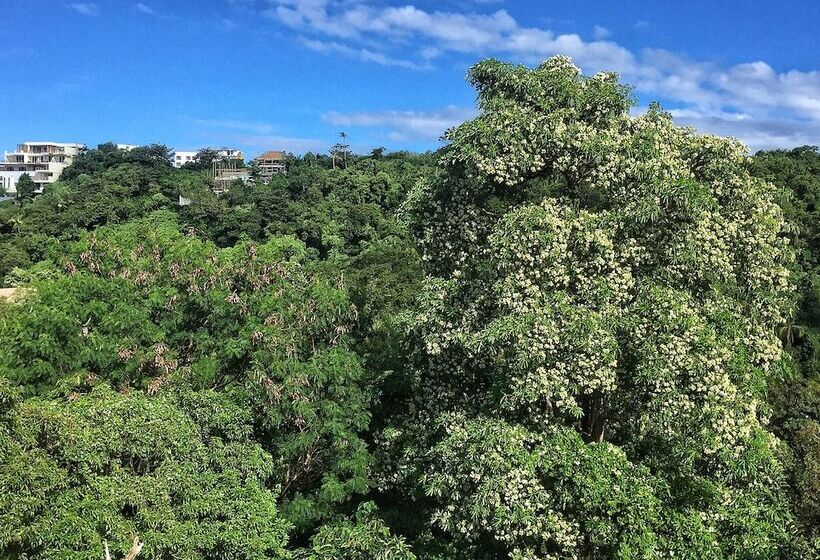 Pensionat Aloe De Diniwid