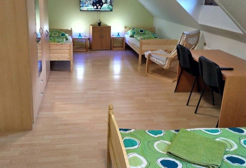 膳宿费 Rooms Novobranská A Orlí