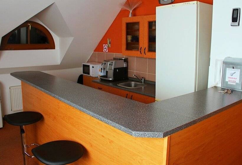 膳宿费 Rooms Novobranská A Orlí