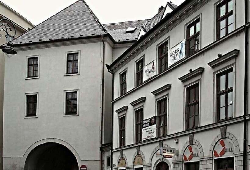 膳宿费 Rooms Novobranská A Orlí