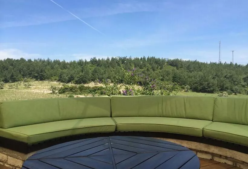 Urla Bagevi Boutique Hotel   Special Class