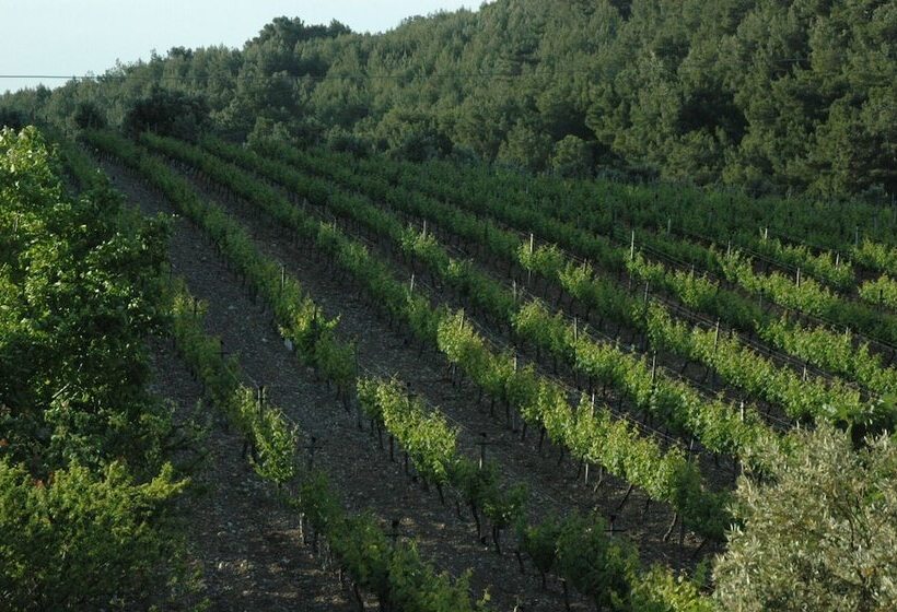 Urla Bagevi Boutique Hotel Special Class