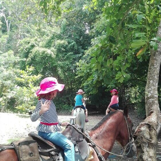 تختخواب و صبحانه Finca El Regalo