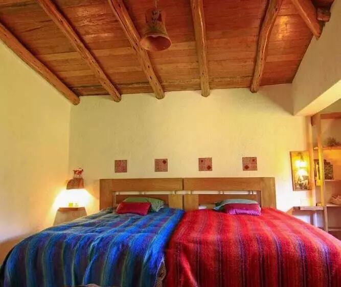 Birds Hotel Molino