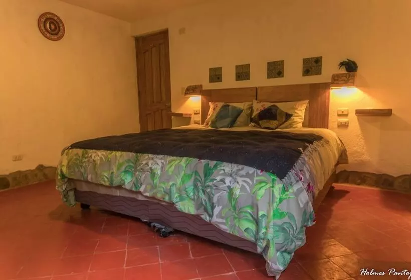 Birds Hotel Molino