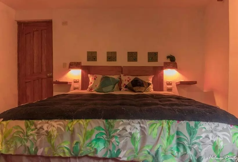 Birds Hotel Molino