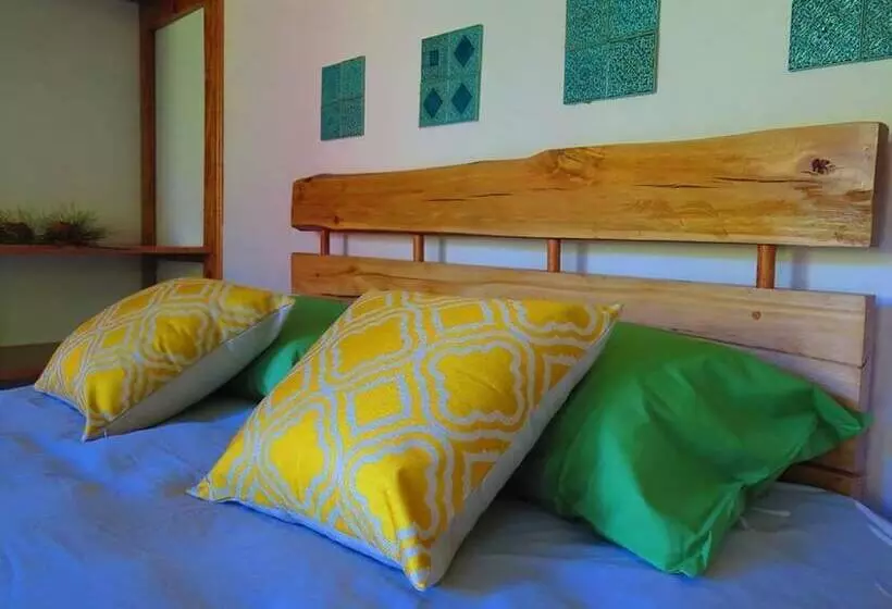 Birds Hotel Molino