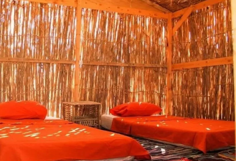 هتل Ayla Camp