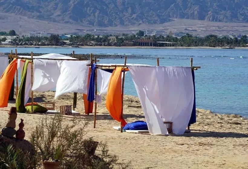 هتل Ayla Camp