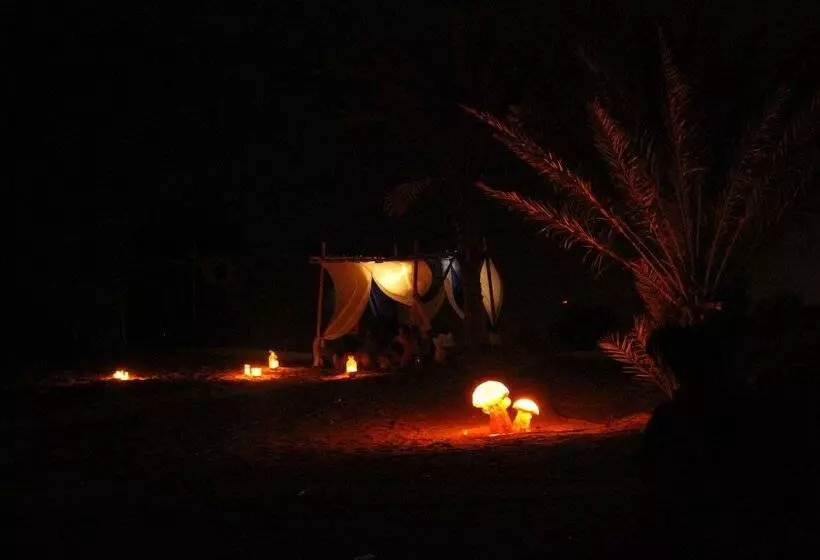 هتل Ayla Camp
