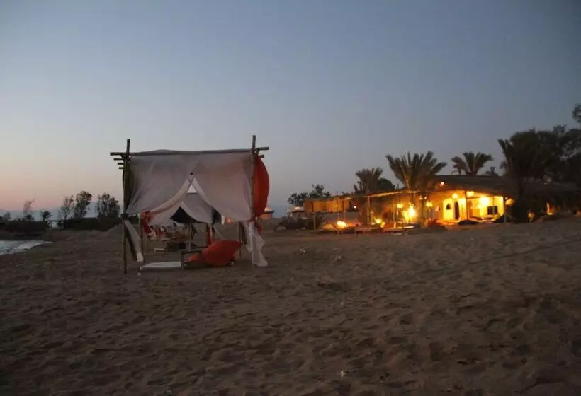 هتل Ayla Camp