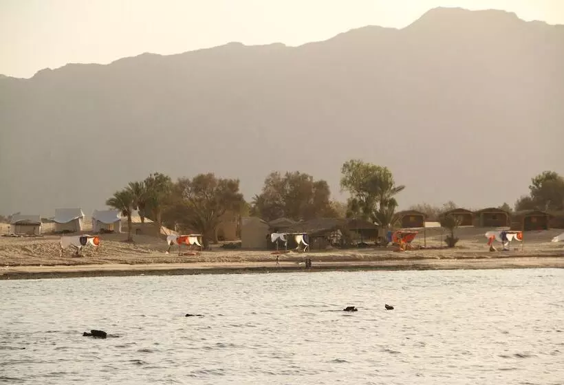هتل Ayla Camp