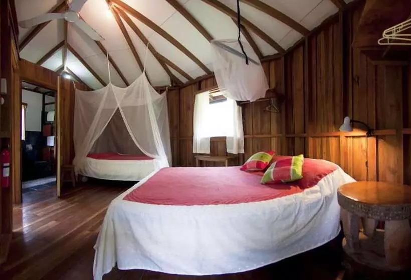 ホテル Bungalows Aché Cahuita