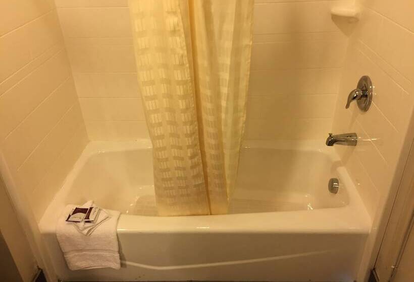 فندق Express Inn