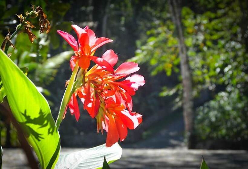 酒店 Mystica Eco Chalés E Pousada