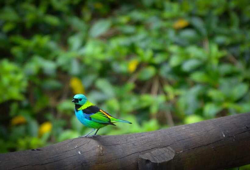 酒店 Mystica Eco Chalés E Pousada