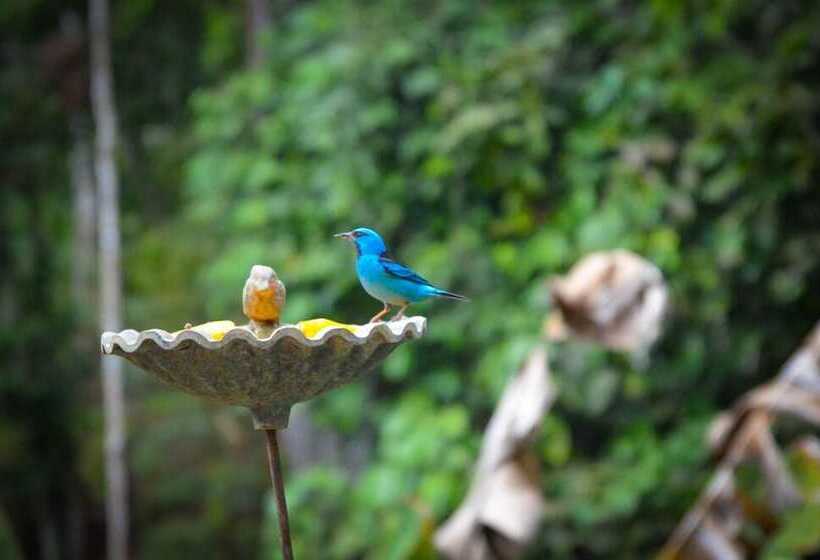 酒店 Mystica Eco Chalés E Pousada