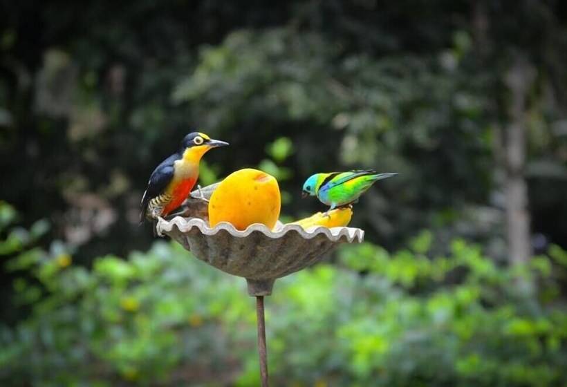 酒店 Mystica Eco Chalés E Pousada