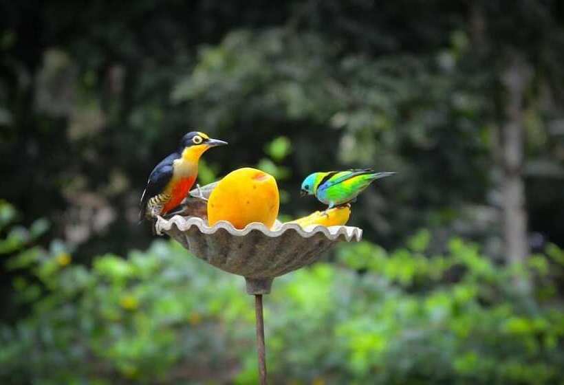 酒店 Mystica Eco Chalés E Pousada