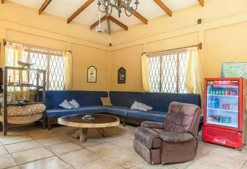 Nosara Beach Hostel