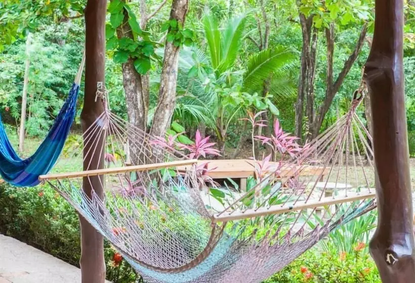 Nosara Beach Hostel
