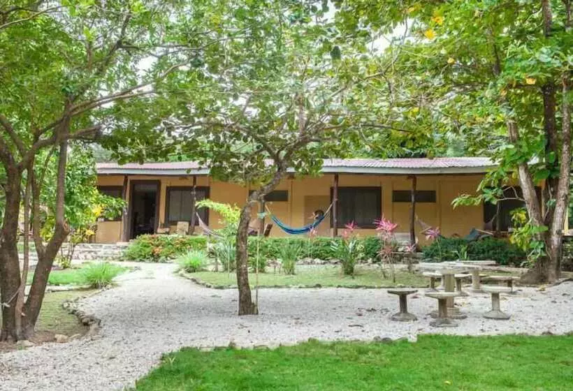 Nosara Beach Hostel