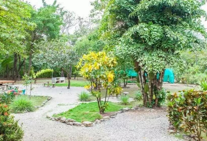 Nosara Beach Hostel
