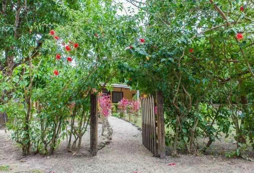 Nosara Beach Hostel