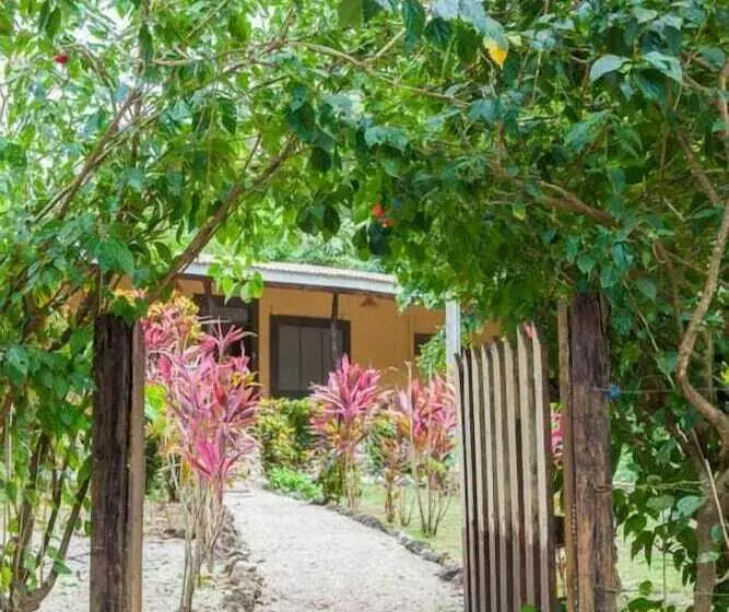 Nosara Beach Hostel