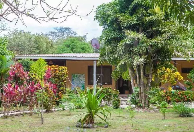 Nosara Beach Hostel