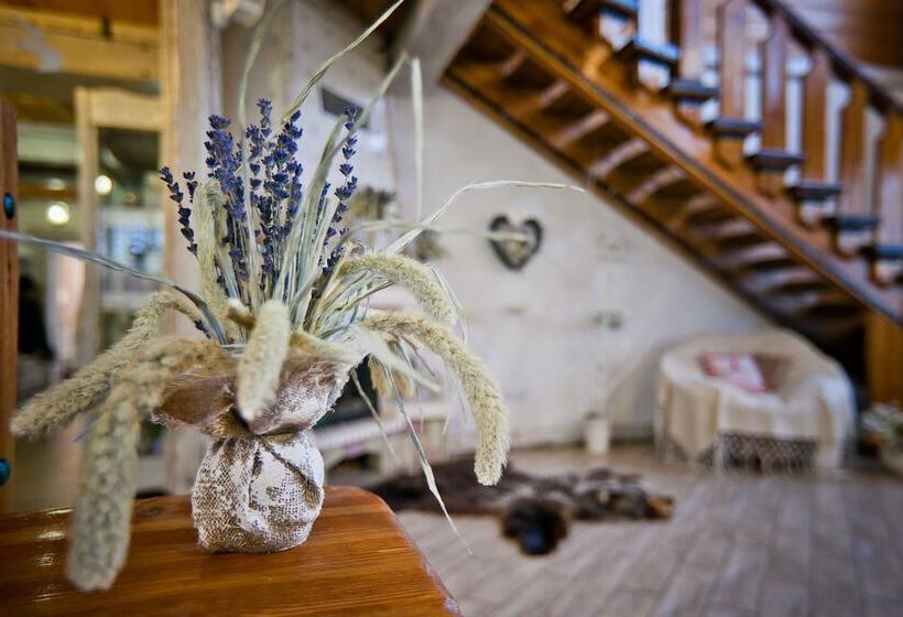 پانسیون Medvezhiy Ugol