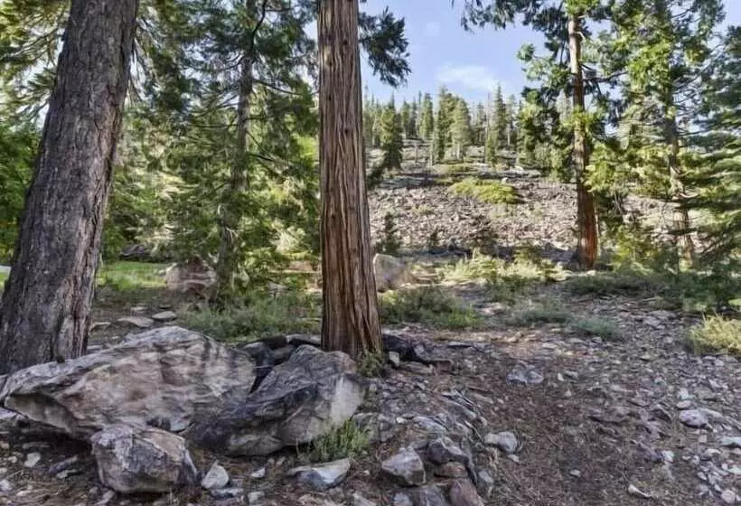 Pfeiffer Dog Friendly Cabin By Redawning