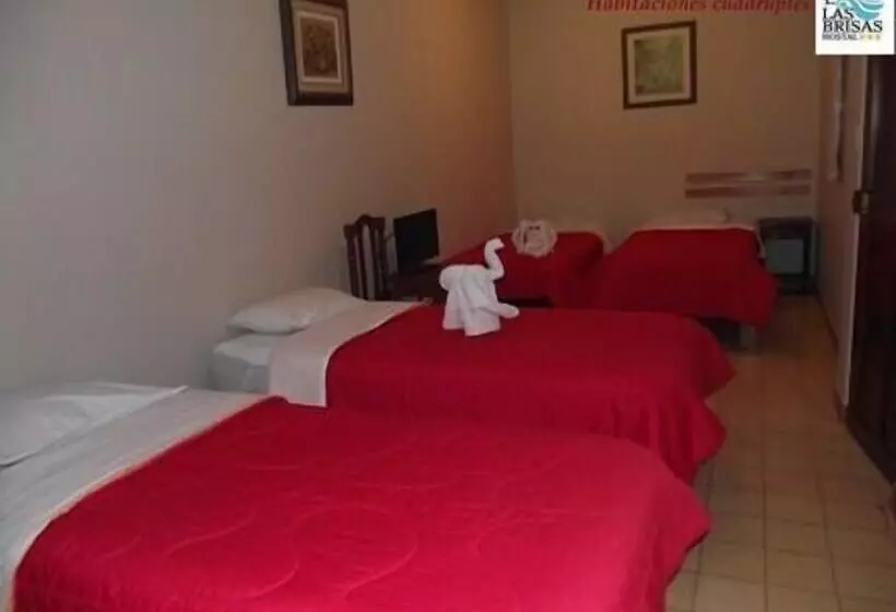 ユースホステル Las Brisas Hostal