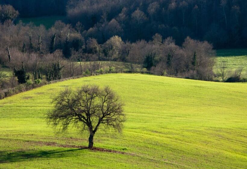 Azienda Agricola Pietra Serena B&b