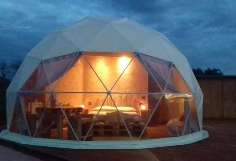 Azienda Agricola Pietra Serena B&b