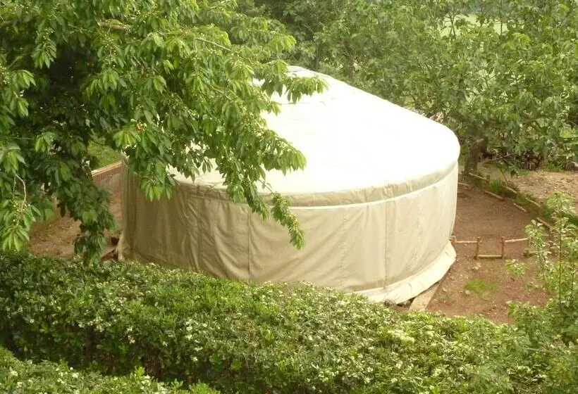 Azienda Agricola Pietra Serena B&b