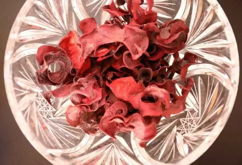 Azienda Agricola Pietra Serena B&b