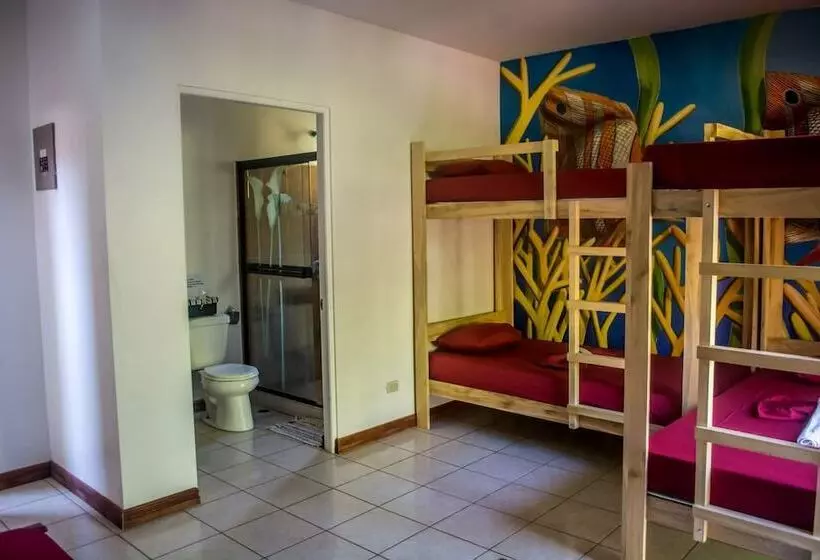 Hostel Dos Monos