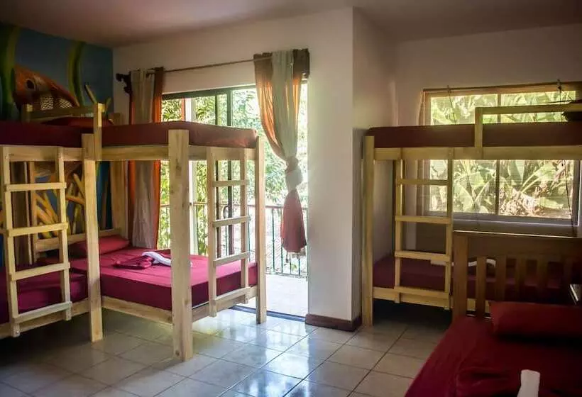 Hostel Dos Monos
