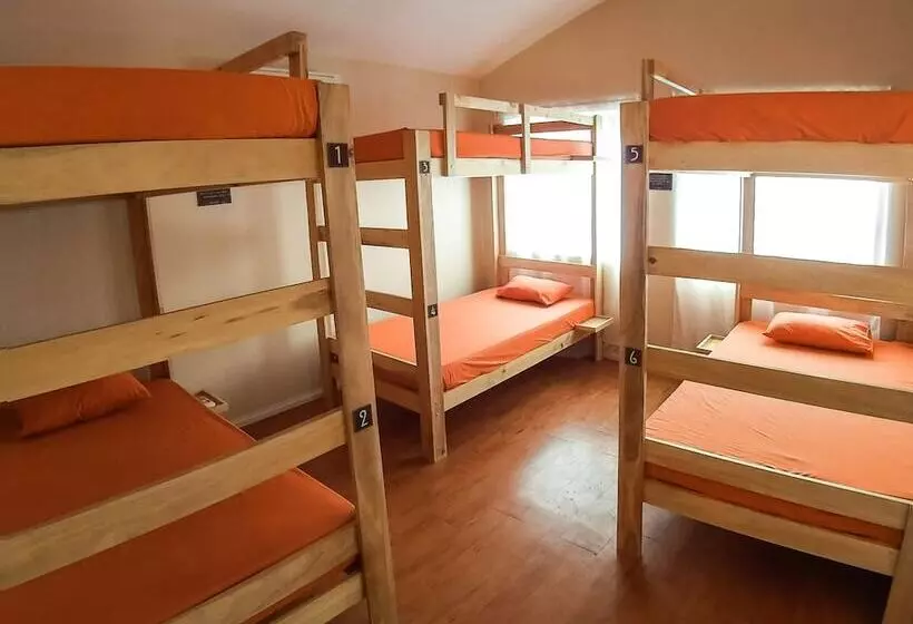 Hostel Dos Monos