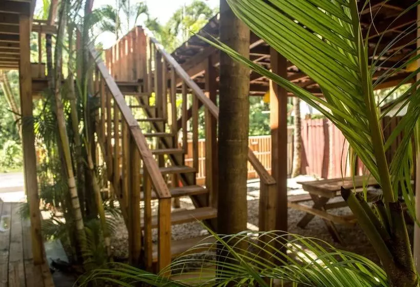 Hostel Dos Monos