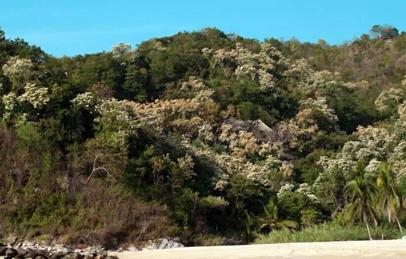 בית מלון כפרי Casa Morena