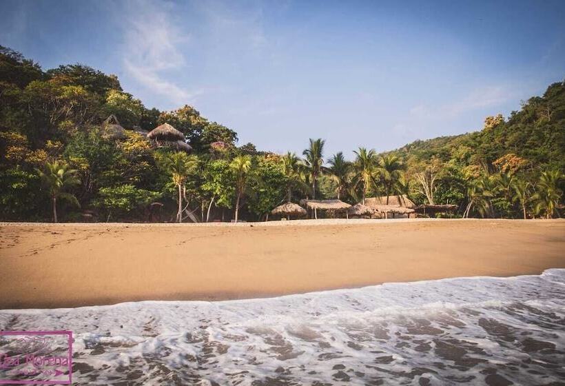 בית מלון כפרי Casa Morena